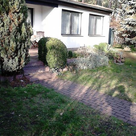 Ferienhaus Pauline Am See Mullrose Номер фото