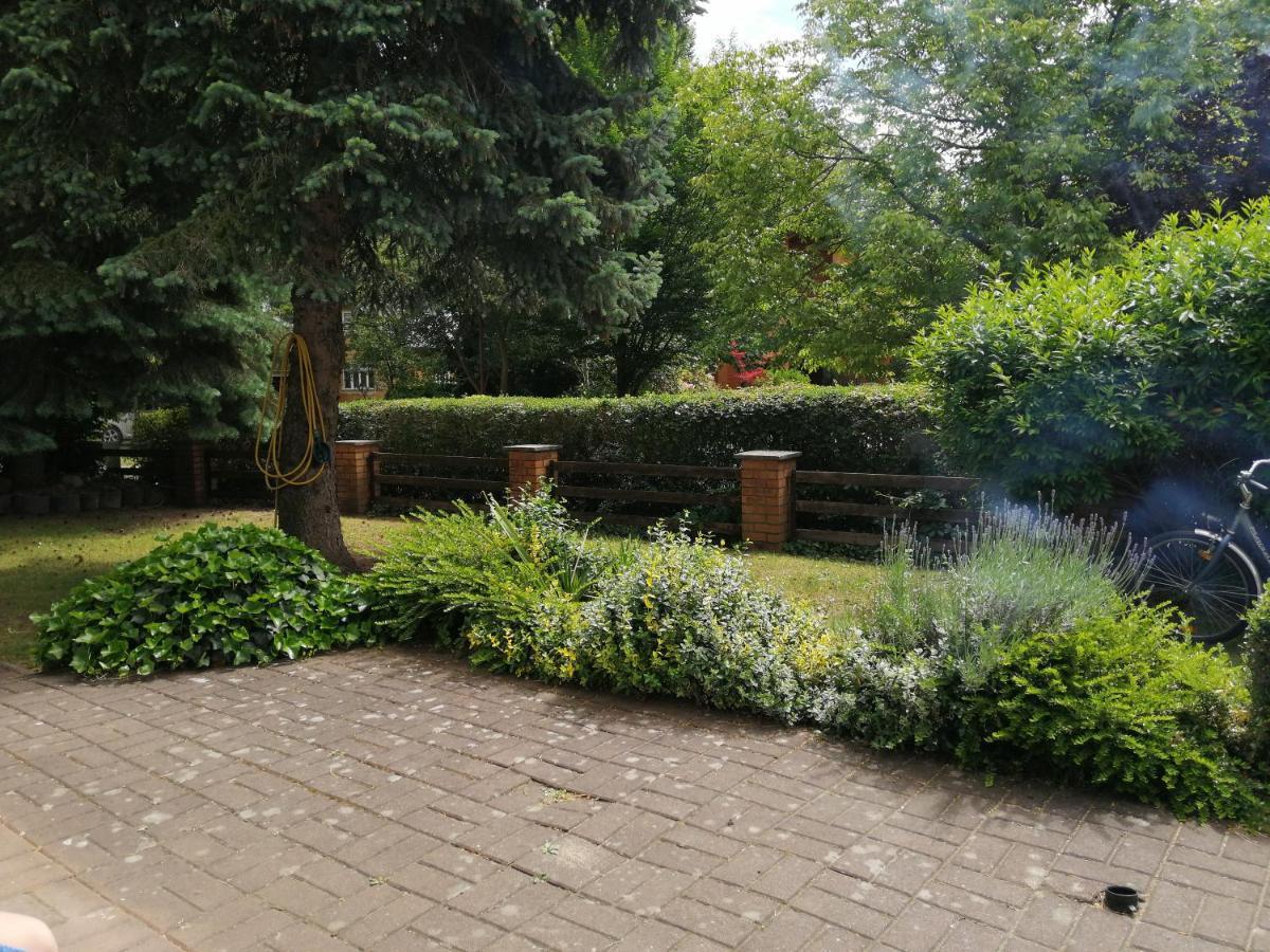 Ferienhaus Pauline Am See Mullrose Екстер'єр фото