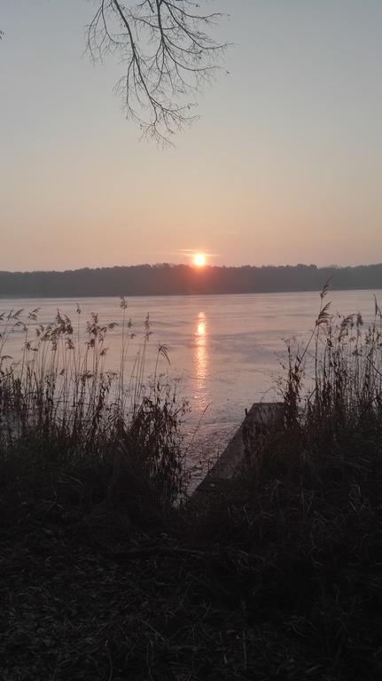 Ferienhaus Pauline Am See Mullrose Екстер'єр фото